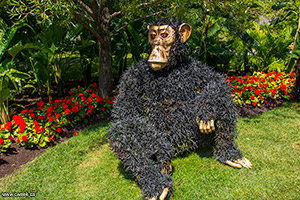 Gorillas in flowers