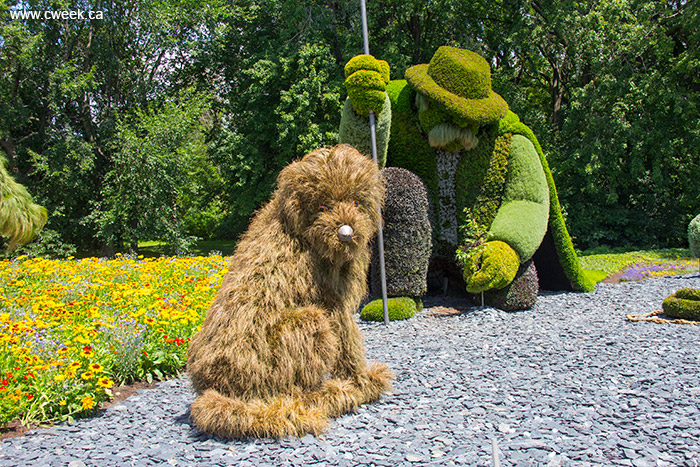 A dog and the man who planted trees