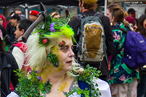 Toronto Zombie Walk 2013