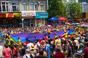 Pride 2014 Flag