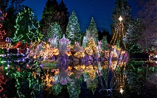 Festival of Lights at VanDusen Botanical Garden