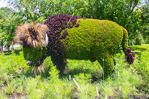 Bull made of flowers