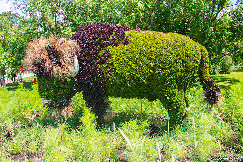 Bull made of flowers