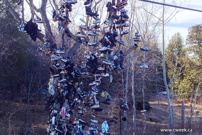 Shoes tree