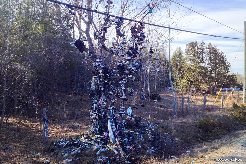 Beaverton Shoe tree