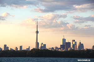 Toronto Downtown Evening