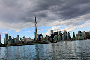 CN Tower View
