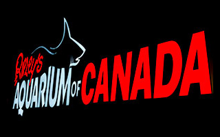 Toronto Ripley's Aquarium